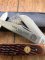 Puma Knife: Puma Stockman Big Five LION Folding Knife with Red Bone Handle