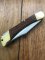 Puma Rare Model 971 Game Warden 1986 Saw and Blade Folding Lock Knife #44862