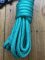 Long Dog Lead: Professional 10 metre Dog Trainer Aqua Green Long Lead