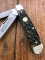 Puma Knife: Puma Trapper Lockback Knife with Green Jigged Bone Handle