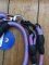 Dog Lead:  Hi Viz Pink/Blue Dog Walking Brace Set for 2 Dogs