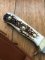 SOS Damascus *PUMA White Hunter* Knife with Sambar Deer Antler Handle & Leather Sheath