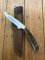 Puma Knife: Puma Pro Hunter Gut Hook Knife with Stag Handle & Light Brown Sheath