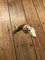 German 1950's Mini Knife with Game Scene & Carved Resin Handle