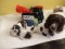 Gun Dog Training Pack: Puppy starter pack