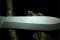 Puma Knife: Puma 141000 Large 'Robuster' Knife with Micarta Handle
